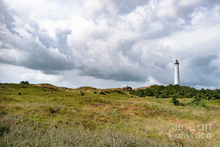 Lyngvig Lighthouse And Heather Photograph