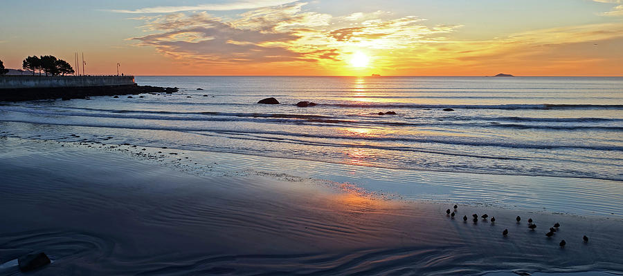 Lynn Sunrise Large Print Photograph by Toby McGuire