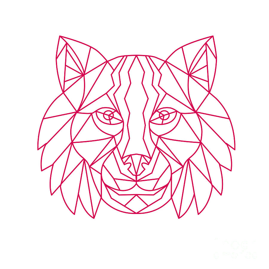 Lynx Bobcat Head Mono Line Digital Art