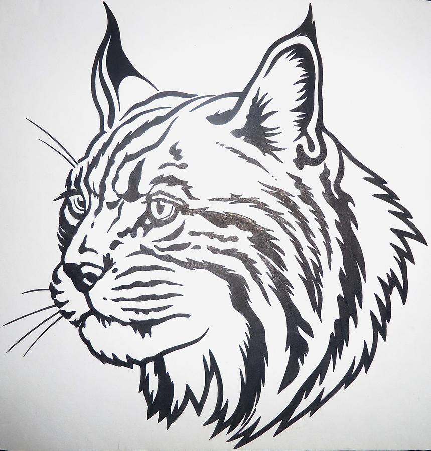 Mammal Drawing - Lynx by Camilo Hernandez