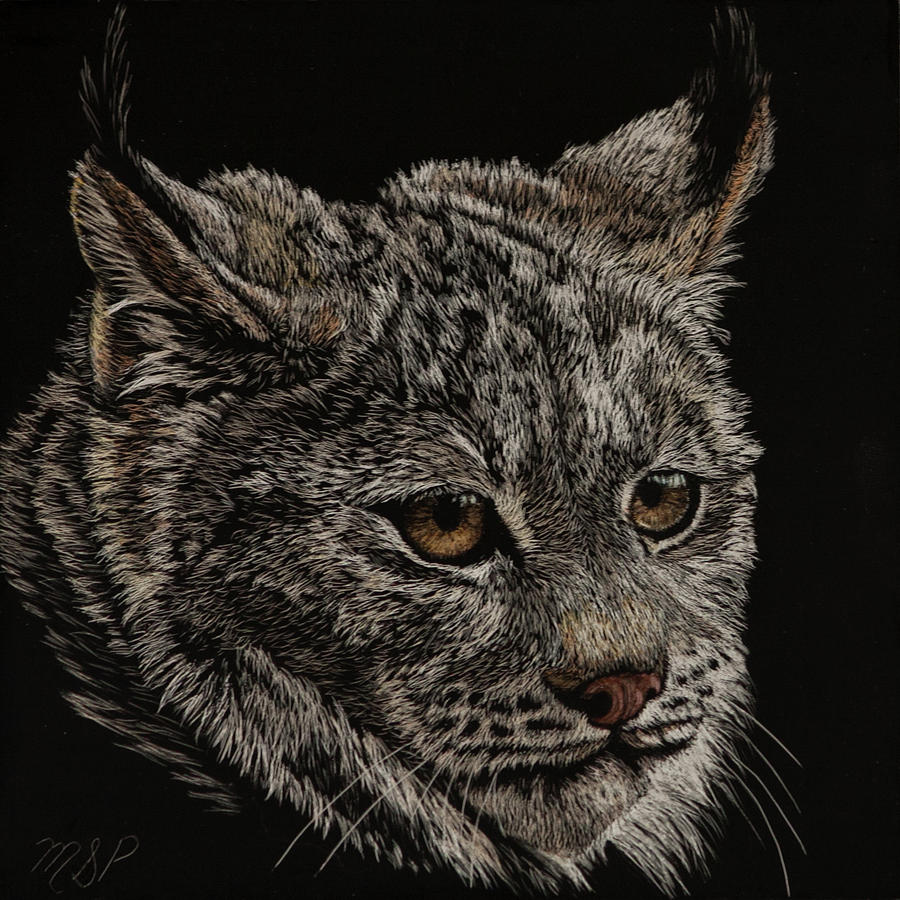 Lynx Painting by Margaret Sarah Pardy