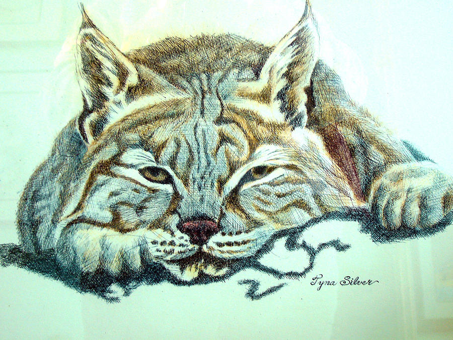 Lynx Painting by Tyna Silver