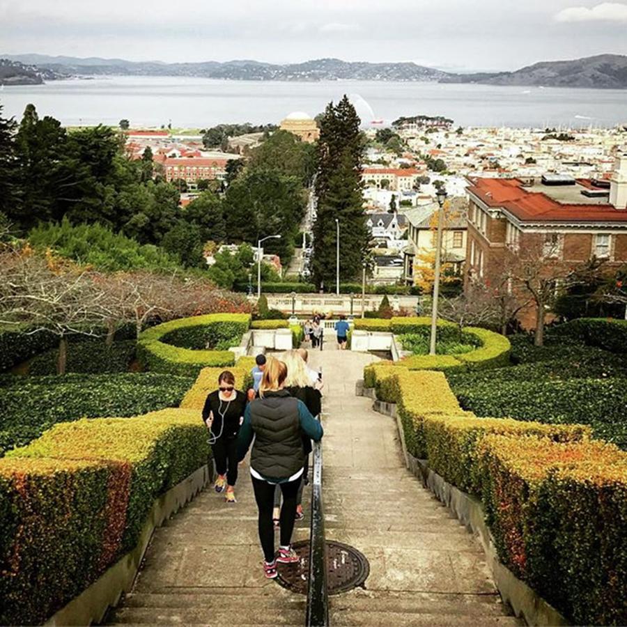 San Photograph - Lyon Street Stairs In Pacific Heights by Andrea Griffin