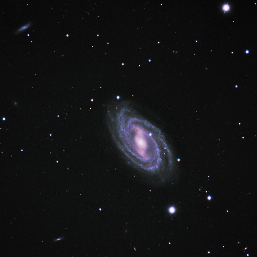 M109 a Barred Spiral Galaxy Photograph by Alan Vance Ley