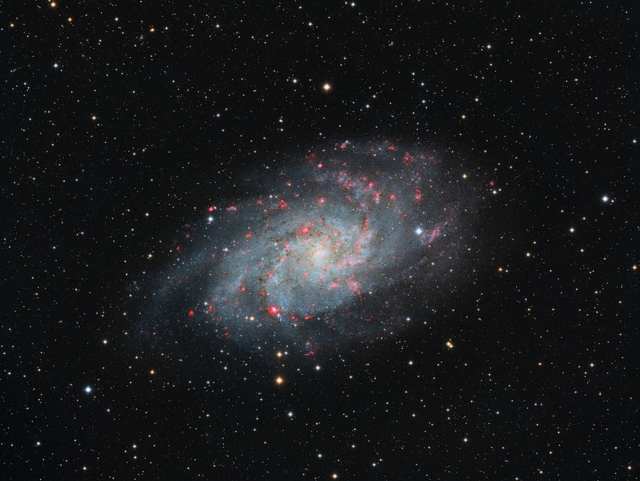 Space Photograph - M33 - Triangulum by Dennis Sprinkle