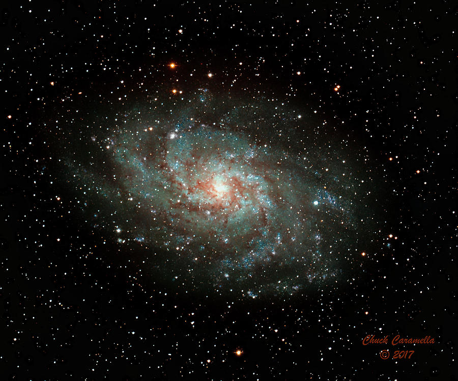 M33 - Triangulum Galaxy Photograph by Chuck Caramella