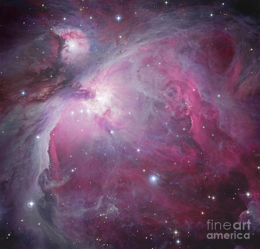 Space Photograph - M42, The Orion Nebula by Robert Gendler