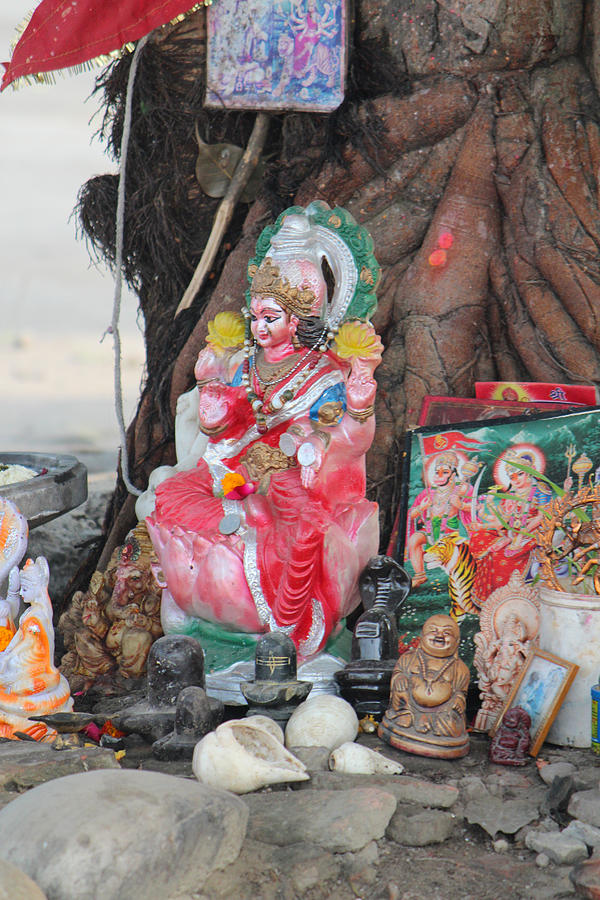 Ma Durga Tree Temple, Haridwar Photograph by Jennifer Mazzucco