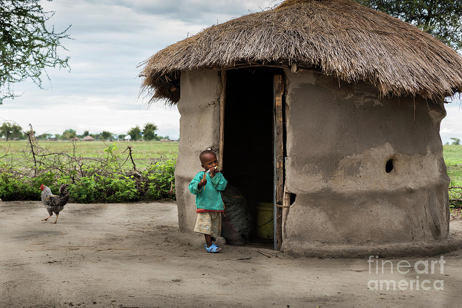 Maasai child next to his hut with chicken Photograph by RicardMN Photography