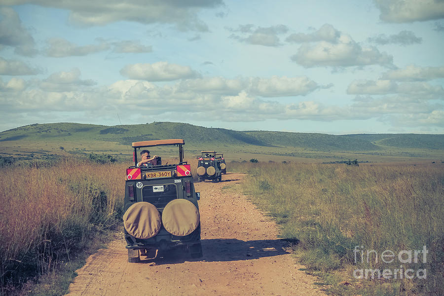 Maasai Mara safari Photograph by Claudia M Photography