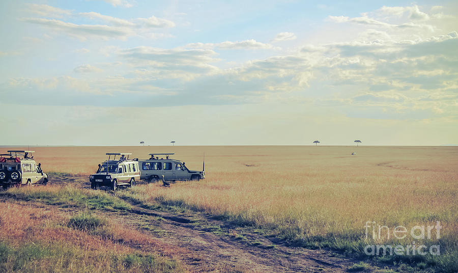 Maasai Mara safari trip Photograph by Claudia M Photography