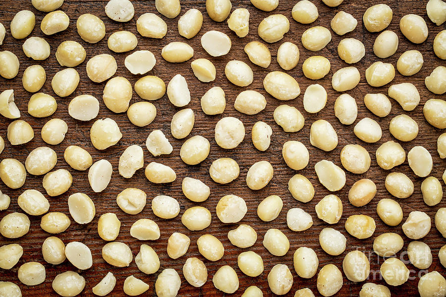 Macadamia Nuts Background Texture Photograph by Marek Uliasz