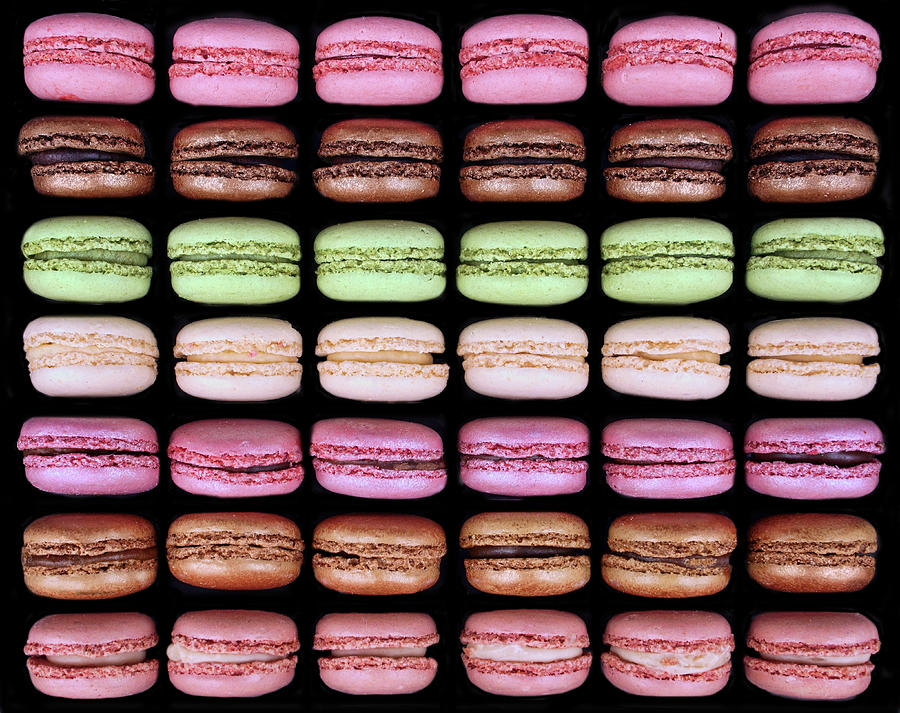 Macarons - Full Box Photograph by Nikolyn McDonald