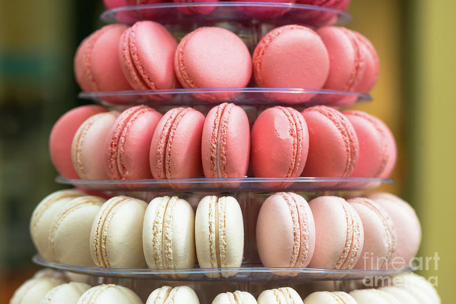 Macaroons  Photograph by Andrew Michael