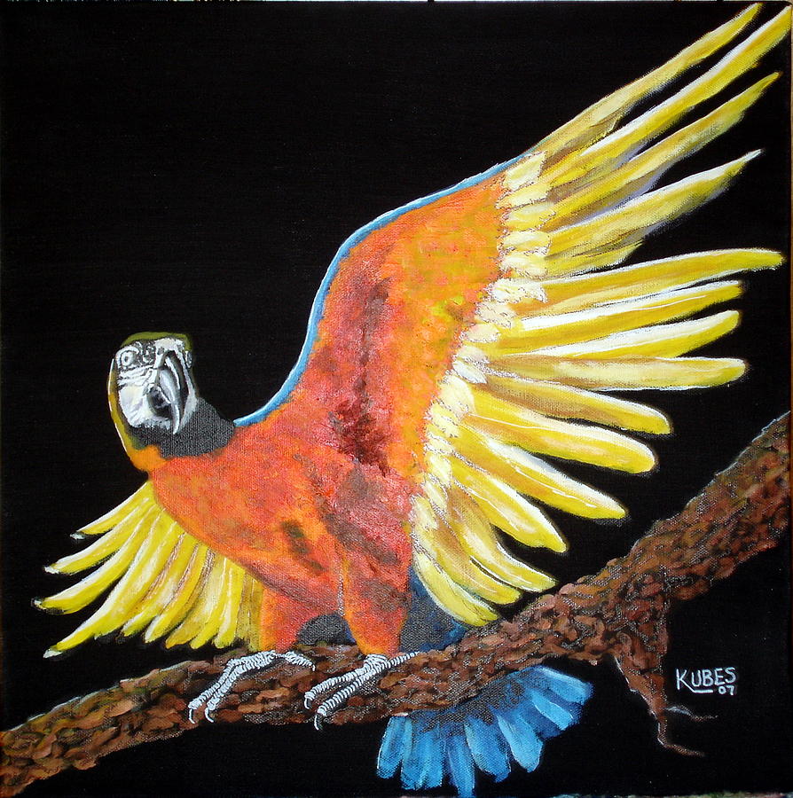 Macaw - Wingin It Painting by Susan Kubes