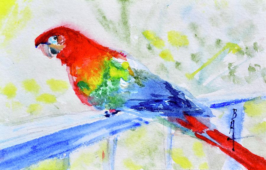 Macaw Painting by Beverley Harper Tinsley