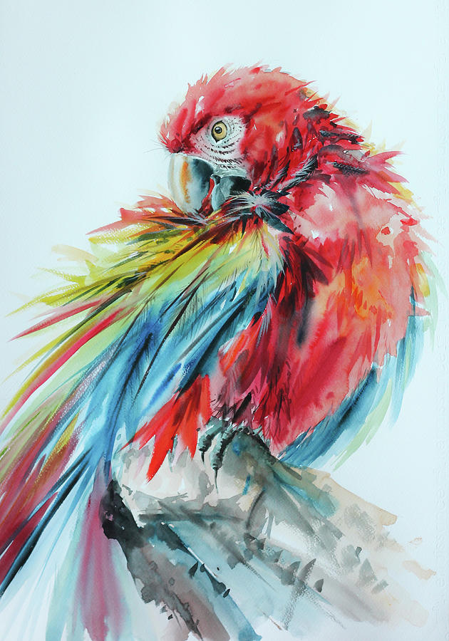 Macaw Bird Beautiful Bird Painting In Watercolor Painting By Pornthep Piriyasoranant