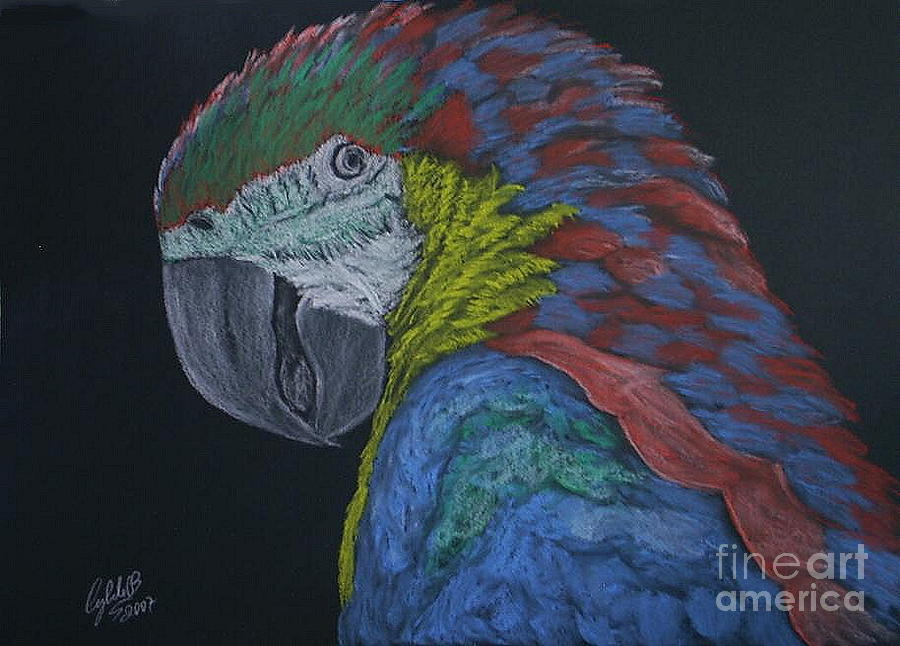 Macaw Pastel by Cybele Chaves
