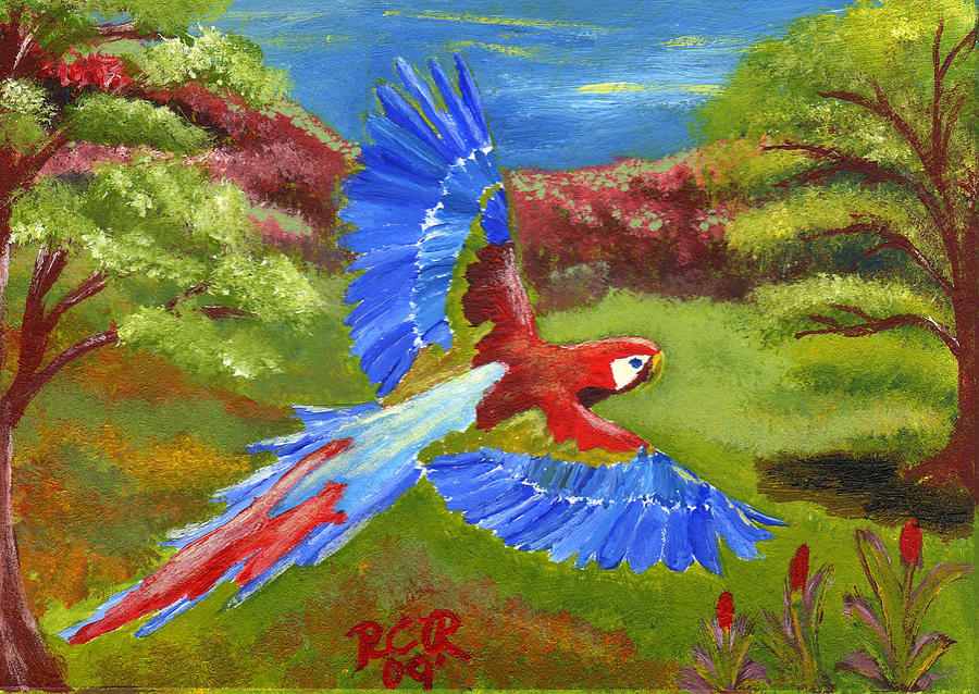 Macaw Photograph - Macaw In Flight by Renee Cain-Rojo