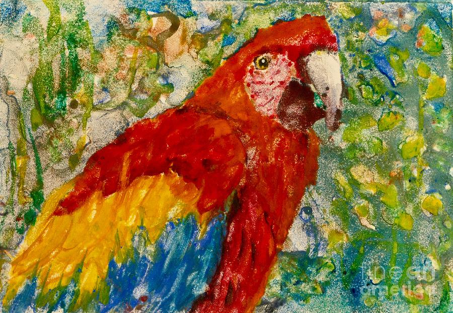 Macaw Painting