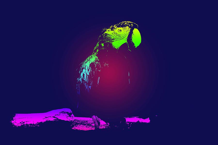 Macaw Poster Painting