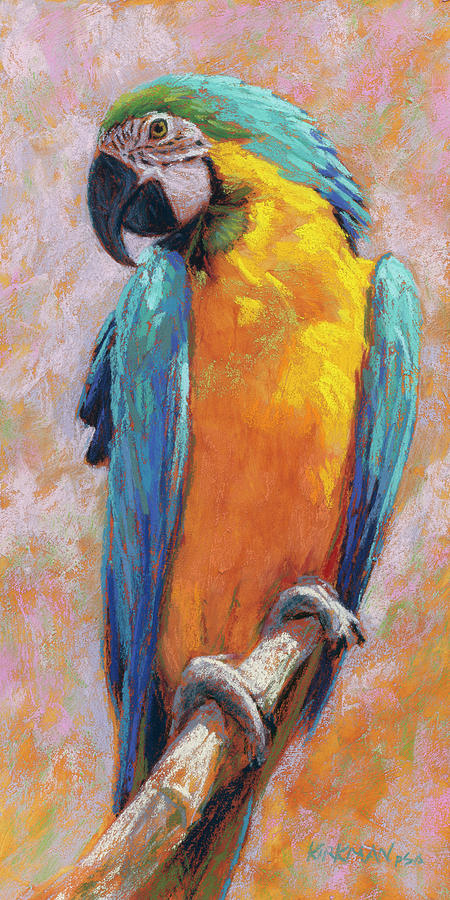 Macaw Pastel - Macaw by Rita Kirkman