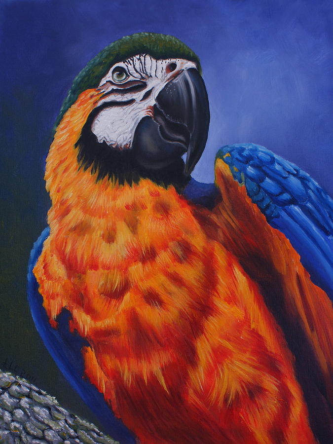 Macaw Painting by Theresa Cangelosi