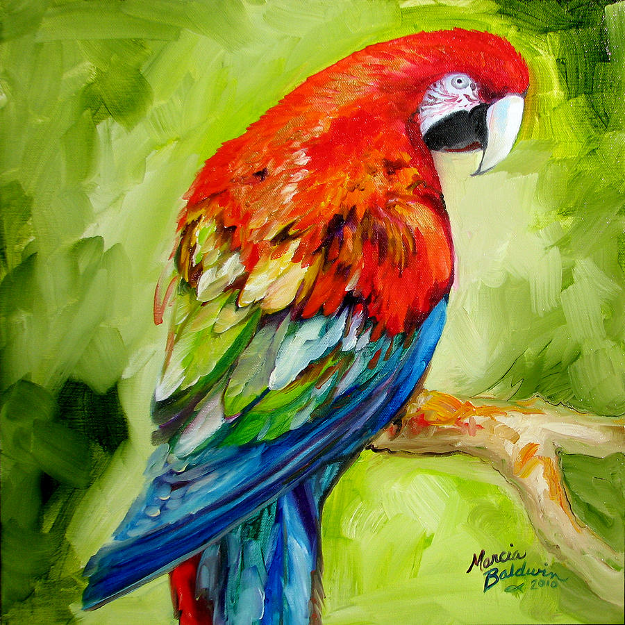 Macaw Tropical Painting By Marcia Baldwin