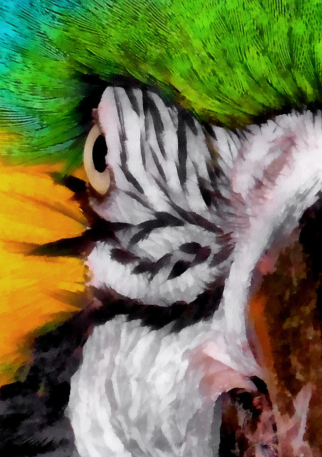 Macaw Upclose 1 Digital Art by Ernest Echols