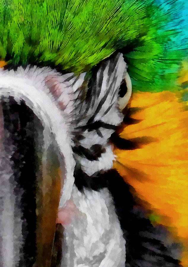 Macaw Upclose 2 Digital Art by Ernest Echols