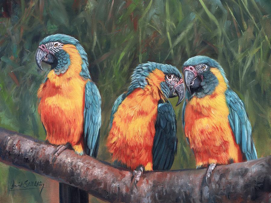 Macaws Painting by David Stribbling
