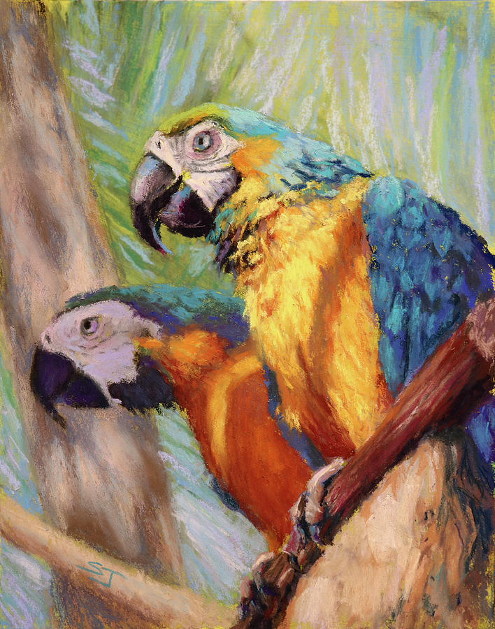 Macaw Painting - Macaws in the Sunshine by Susan Jenkins