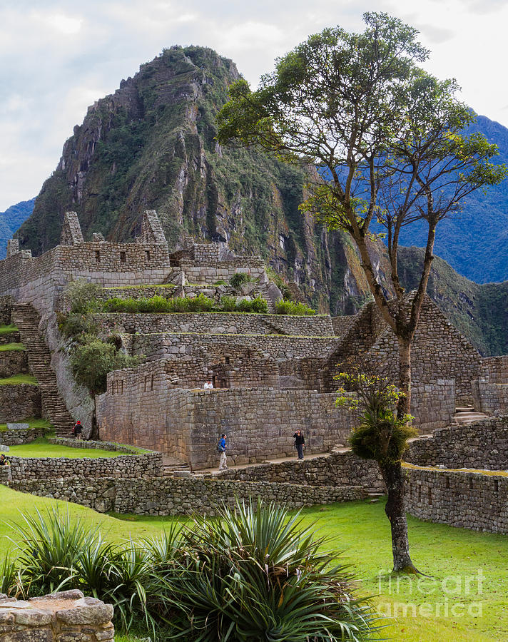 Machu Picchu 20 Photograph by Dan Hartford