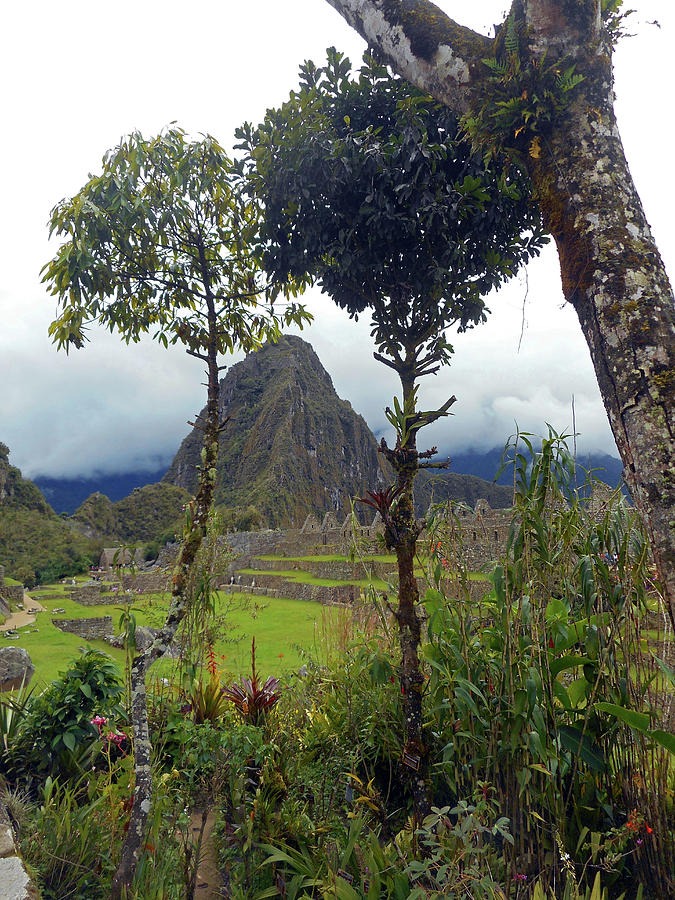 Machu Picchu 44 Photograph by Ron Kandt