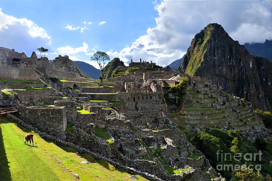 Mountain Photograph - Machu Picchu Afternoon by Catherine Sherman