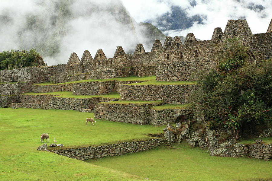 Architecture Photograph - Machu Picchu Peru by Roupen Baker