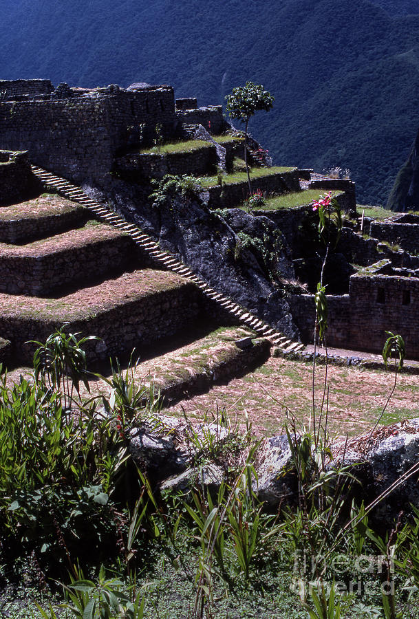 Machu Picchu-Signed-#389 Photograph by J L Woody Wooden