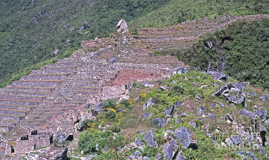 Machu Picchu-Signed-#397 Photograph by J L Woody Wooden