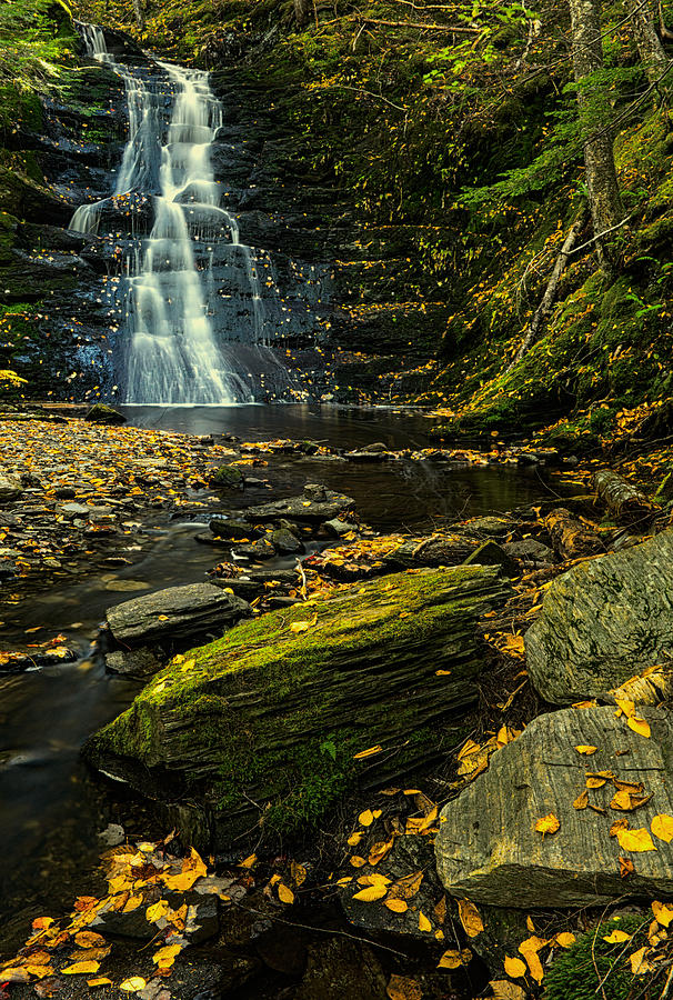MacInnis Brook and waterfall Photograph by Irwin Barrett