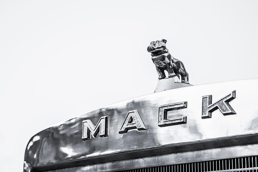 Mack Bull Dog Photograph by Lisa Lemmons-Powers