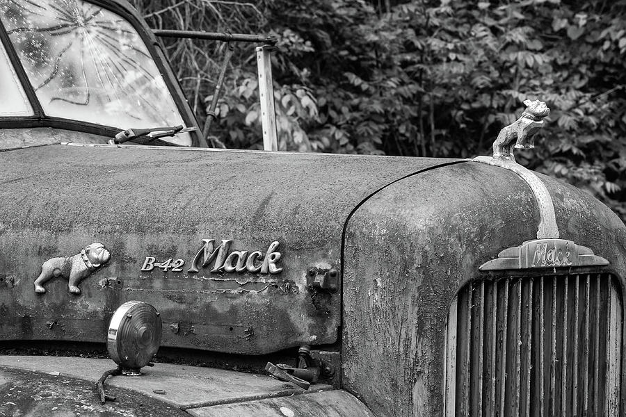 Mack Bulldog  Photograph by Jurgen Lorenzen