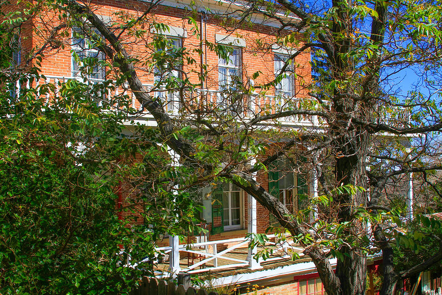 Mackay Mansion With Trees Photograph