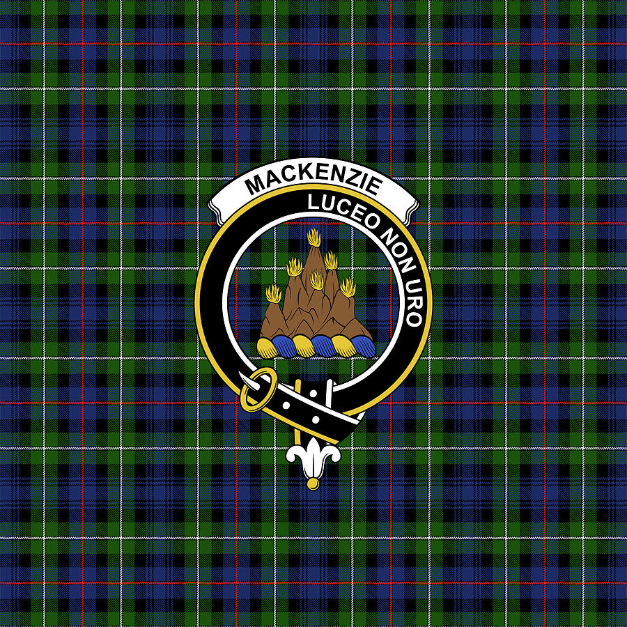 modern mackenzie tartan