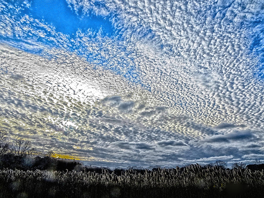 Mackerel Sky Photograph - Mackerel Sky by Constantine Gregory