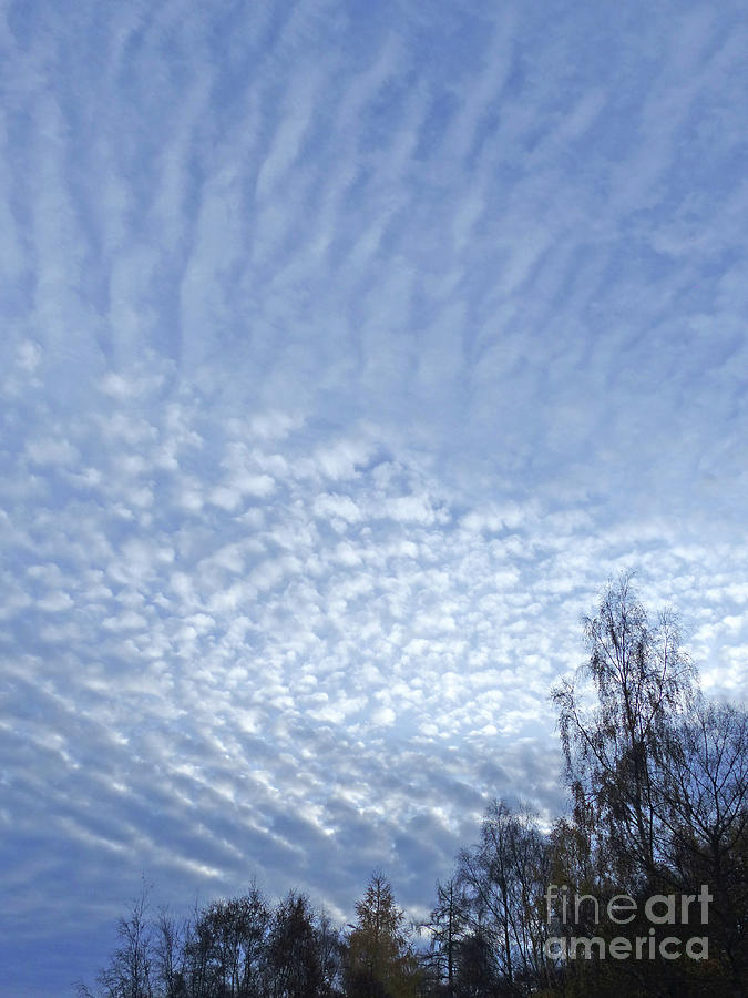 Mackerel Sky Photograph by Phil Banks