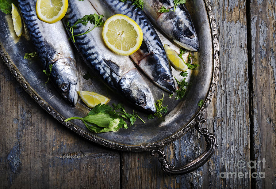 Fish Photograph - Mackerels on silver plate by Jelena Jovanovic