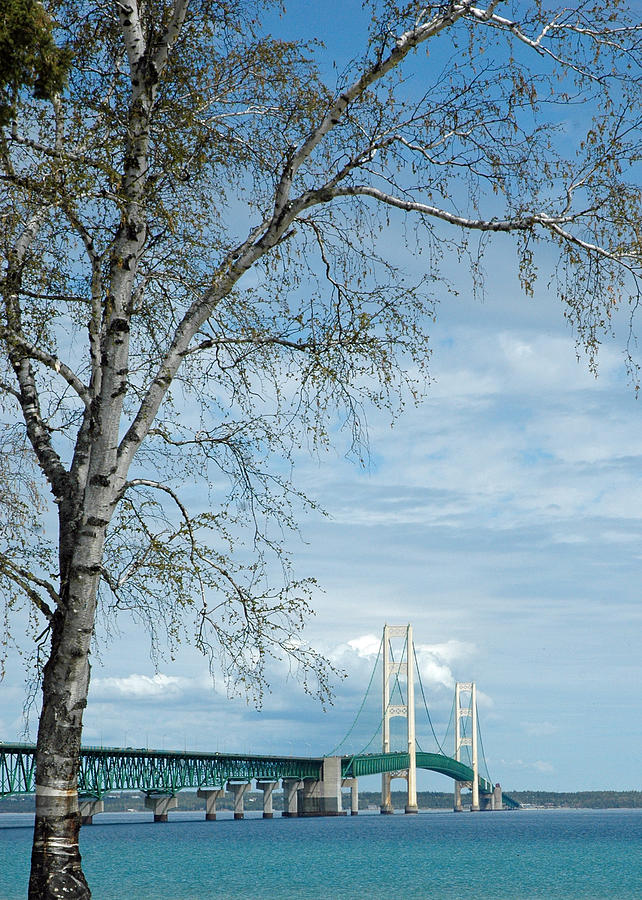 City Photograph - Mackinac Bridge Birch by LeeAnn McLaneGoetz McLaneGoetzStudioLLCcom