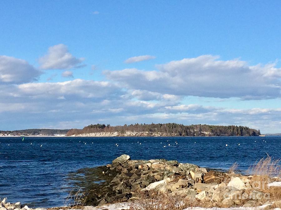 Mackworth Island Falmouth Maine Photograph by Patricia E Sundik