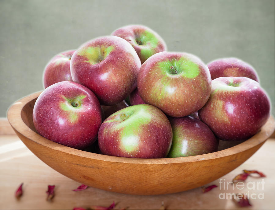 Macoun Apples Photograph by Ann Jacobson