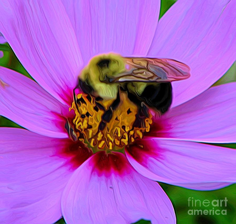 Macro of Bee on a Cosmos Flower Expressionist Effect Photograph by Rose Santuci-Sofranko